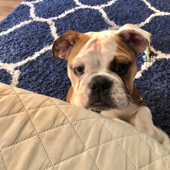 Meet your Posher, Steve - Picture 6 of 7